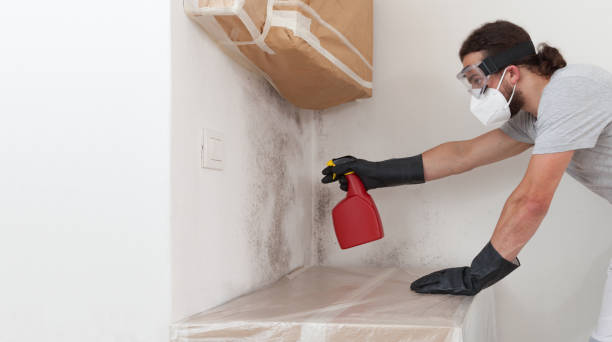 Professional Mold Inspection And Testing technician working in Marlboro, NY